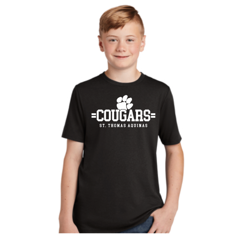 St Thomas Aquinas Youth Short Sleeve Triblend Tee  (STAS24)