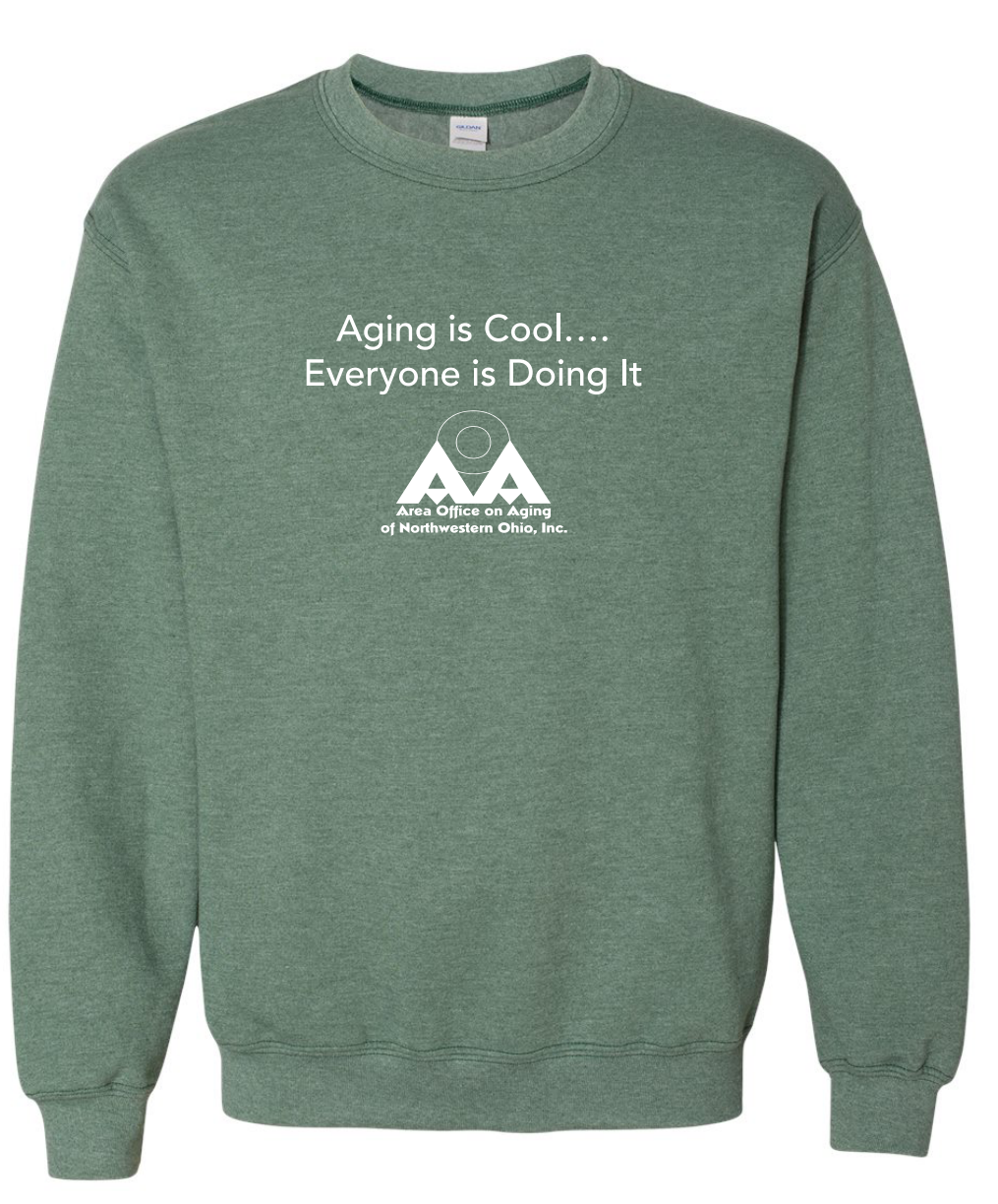 Area Office on Aging of Northwestern Ohio Inc - Here for Good 2026