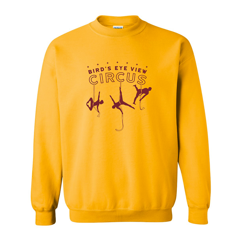 Bird’s Eye View Circus - Here for Good 2026