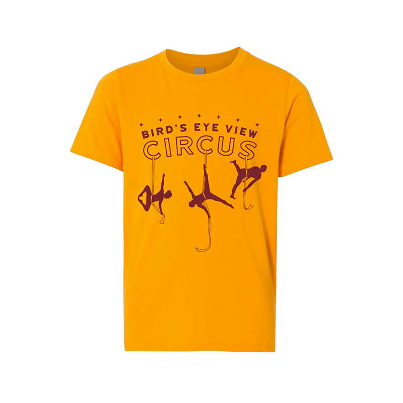 Bird’s Eye View Circus - Here for Good 2026